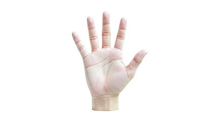 Human hand with five fingers spread open