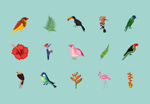Colorful Tropical Bird Jungle Animal Wildlife Illustrations Set