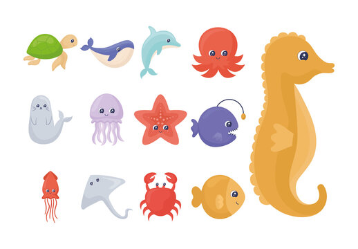 Colorful Cute Sealife Animals Illustrations Set