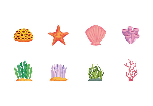 Colorful Marine Life Ocean Illustrations Set