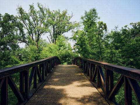 Bridge pathway trees forest greenery park nature walkway: sunlit pedestrian bridge with metal rails and concrete path leading through lush trees in a serene outdoor park trail.
