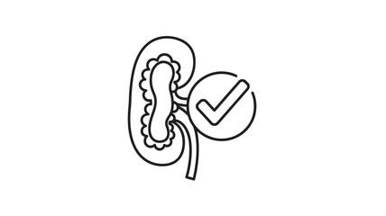 Obraz premium healthy kidney with green checkmark indicating proper function and wellness high quality professional detailed modern elegant