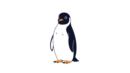 Fototapeta premium Charming black and white penguin stands upright on a white background looking slightly to the side with curiosity.