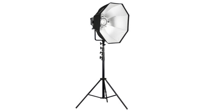 Professional Octagonal Softbox Studio Strobe Light on Tripod Stand