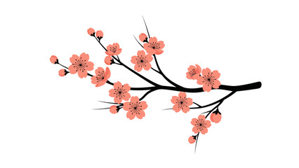 Cherry Blossom Branch with Pink Flowers on White Background © hidayati