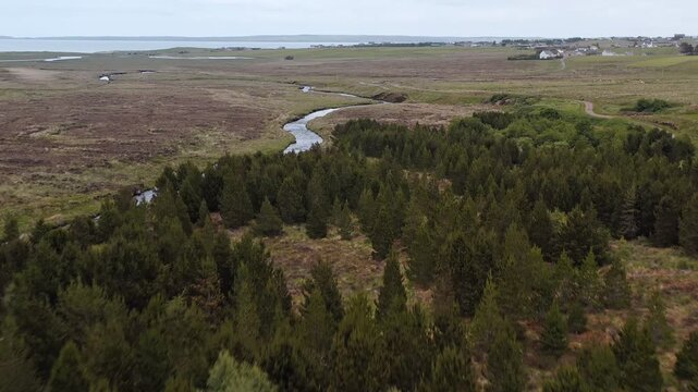 Drone shot over a pine forest on the Isle of Lewis showing the village of Back.