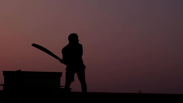 Moody silhouette of a unrecognized cricket batsman at dusk, framed against a colorful sunset sky. High-quality sports footage suitable for cricket advertisements, highlight intros