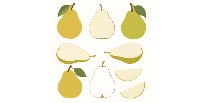 Botanical pear fruit vector illustration set with slices