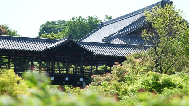 京都・東福寺の青紅葉と新緑の風景｜初夏の禅寺