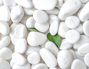 Smooth white pebbles with two green leaves nestled among them fill the frame, creating a minimalist texture