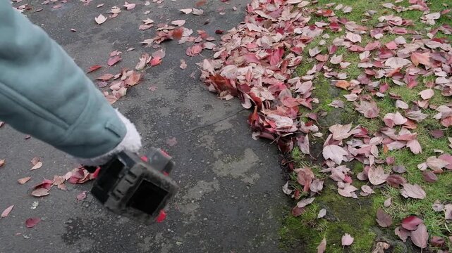 Clearing away leaves with a cordless leaf blower