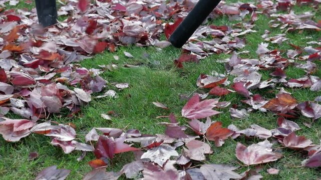 Clearing away leaves with a cordless leaf blower