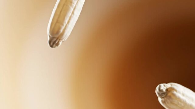 Fresh macro closeup of a liquid water droplet and white milk drop dripping from a green leaf onto a wet surface with a clear reflection of nature