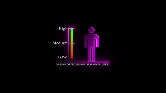 Adrenocorticotropic Hormone Level Indicator with Human Silhouette. Glowing neon animation and black background.4k Animation.