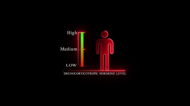 Adrenocorticotropic Hormone Level Indicator with Human Silhouette. Glowing neon animation and black background.4k Animation.