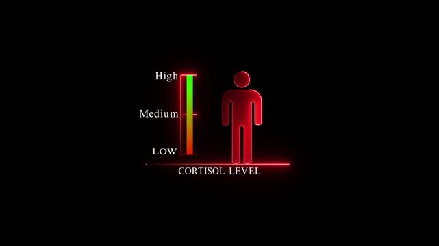 Human Silhouette with Low Cortisol Level Indicator, Glowing neon animation and black background..4k Animation.