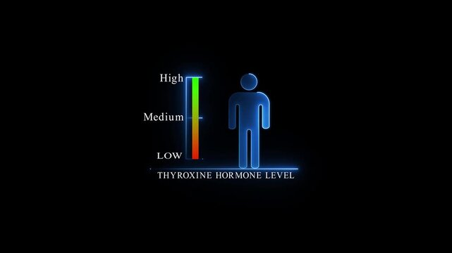 Thyroxine Hormone Level Indicator with Human Silhouette.4k Animation.
