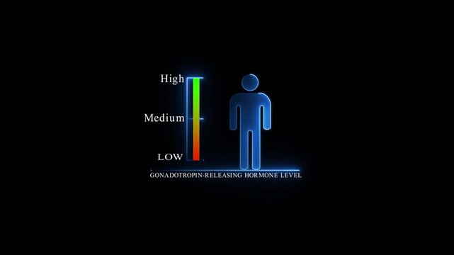 Gonadotropin Releasing Hormone Level Indicator with Male Silhouette.4k Animation.