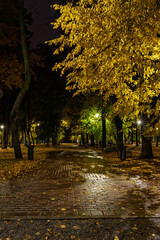 Paved pathway illuminated by streetlights in autumn park at dusk, surrounded by trees with colorful fallen leaves. Serene evening outdoor scene for calm mood.