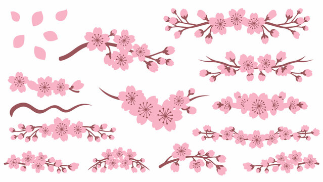Cherry Blossom Branch Elements - Pink Flowers and Petals Vector Set