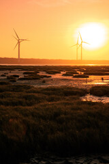 Obraz premium Sunset over coastal wetlands with wind turbines on the horizon, golden sky reflecting on tidal flats, calm water and silhouettes