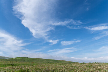 Fototapeta premium 爽やかな朝の高原 霧ヶ峰 