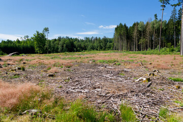 🌄 Nat&uuml;rliche Szenerie: Ebenenlandschaft

Die fotografische Darstellung betont Tiefe, Licht und nat&uuml;rliche Formen.