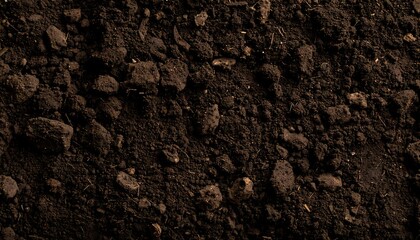 Dark Soil Texture with Small Rocks.