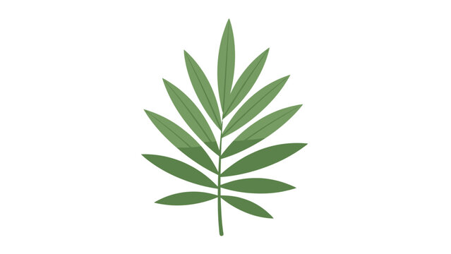 Green Leaf with Multiple Leaflets.