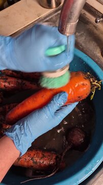 Hands wearing blue gloves scrub dirt off root vegetables in a blue basin under a faucet, preparing them for cooking