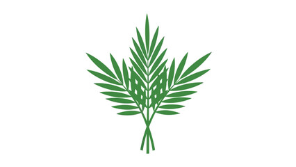 Fototapeta premium Green Palm Fronds Illustration Isolated White.