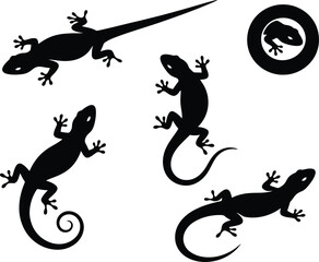Fototapeta premium Vector black and white silhouette of a house lizard. Gecko Lizard Silhouette Collection – Minimal Black Reptile Vector Art.