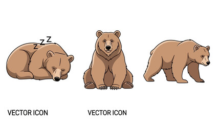 Three cartoon bears in different poses vector illustration. © Cihu