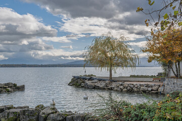 Rivage de Coppet au bord du lac L&eacute;man