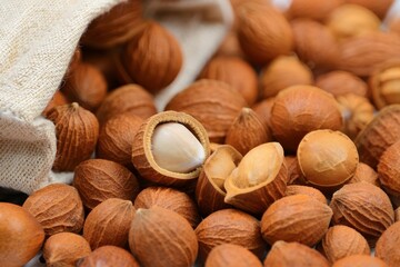 Hazelnut Pile with Cracked Nut and Linen Sack