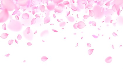 Soft, airy pink petals gracefully cascading down on a white background, creating a dreamy, romantic feel
