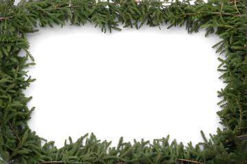 Evergreen Pine Branch Rectangle Border Frame Isolated on White Background for Holiday Text