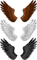 Spreading eagle wings vector set in colored, line art, and black fill styles.
