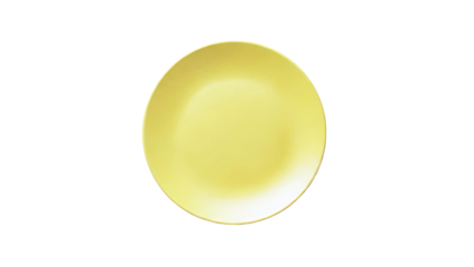 Single Yellow Plate