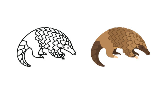 Two adorable cartoon pangolins one in outline for coloring and one fully colored showing detailed scales illustrate the unique nature of this scaly mammal