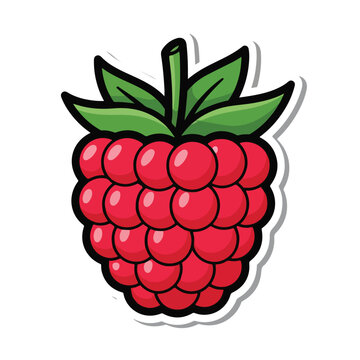 Illustration of a ripe red raspberry fruit.