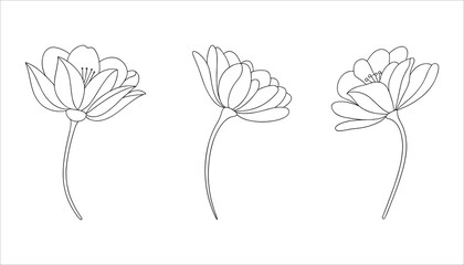 Black and white line of three flowers line black and white floral simple minimalistic solid in white background