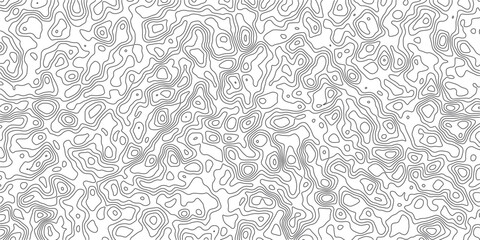 Fototapeta premium Abstract Lines Minimalist Gray Texture