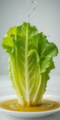 Crisp lettuce basks in light kissed by water balanced on a plate of golden liquid