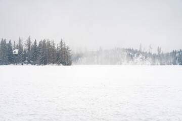Scenic wide view of a snowy forest clearing with evergreen trees under a heavy gray winter sky. A peaceful and cold wilderness landscape capturing the essence of the winter season. © Tetiana