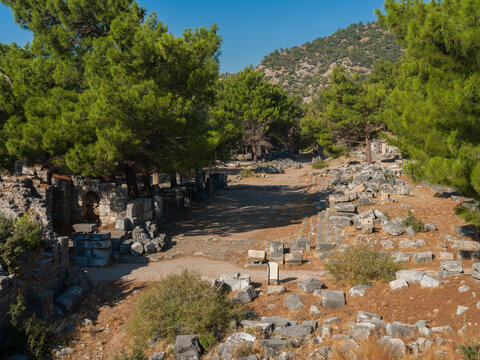 Priene ancient city ruins. Near Soke district, Aydin province, T&uuml;rkiye 
