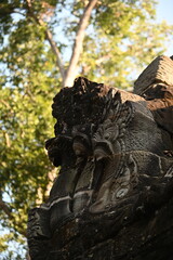 The impressive ruins of the Ta Prohm temple near Angkor Wat in Siem Reap Cambodia - an incredible example of the advanced Khmer architecture but engulfed by the jungle