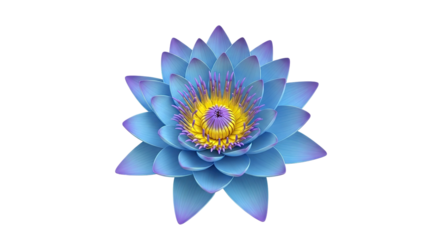 Blue and purple lotus flower with yellow center