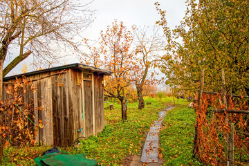 Old Garden in a Village in Late Autumn