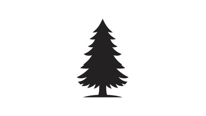 Obraz premium Silhouette of a Tall Evergreen Pine Tree.